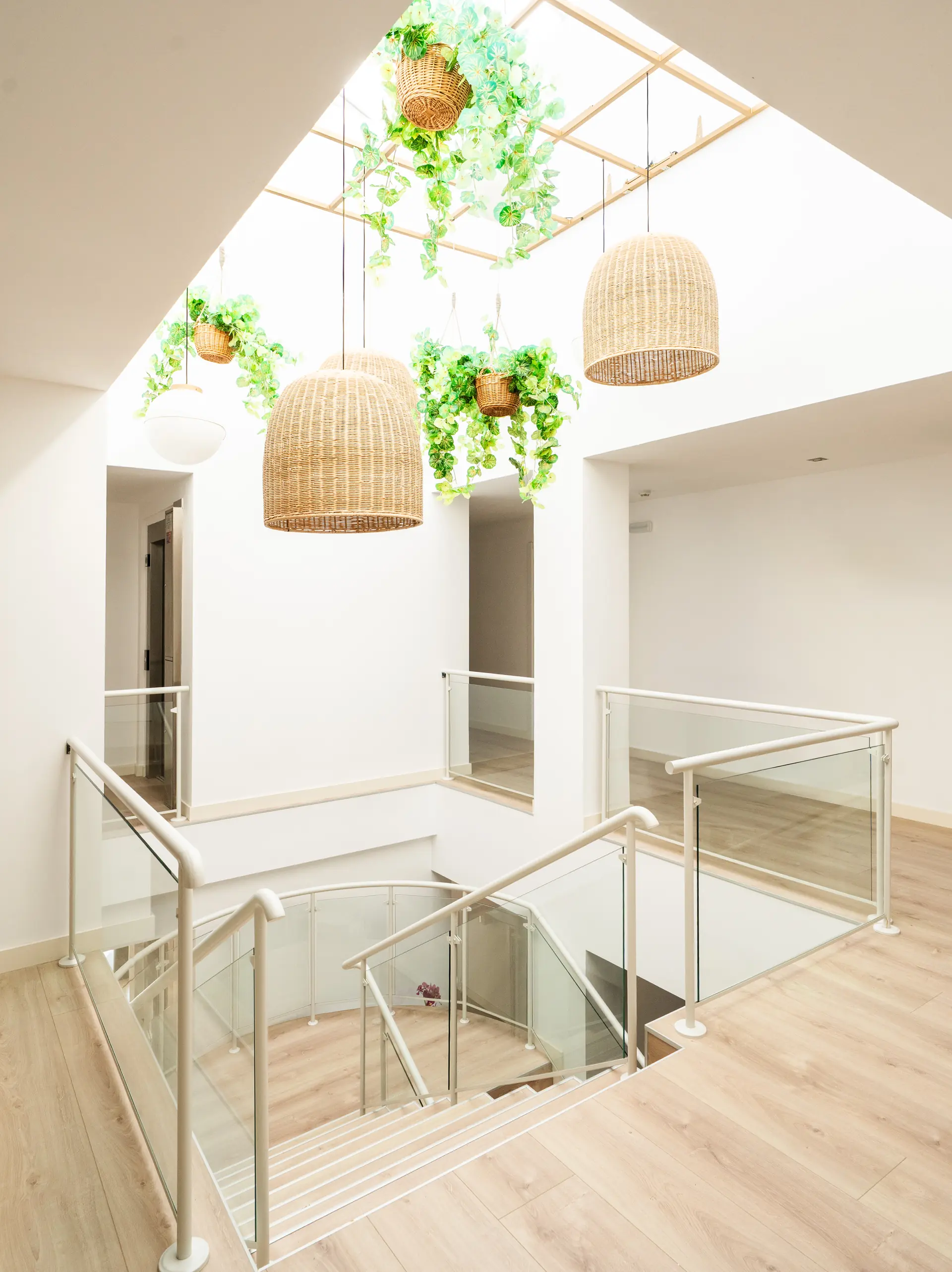 Atrio Luz Natural Plantas Colgantes Interior