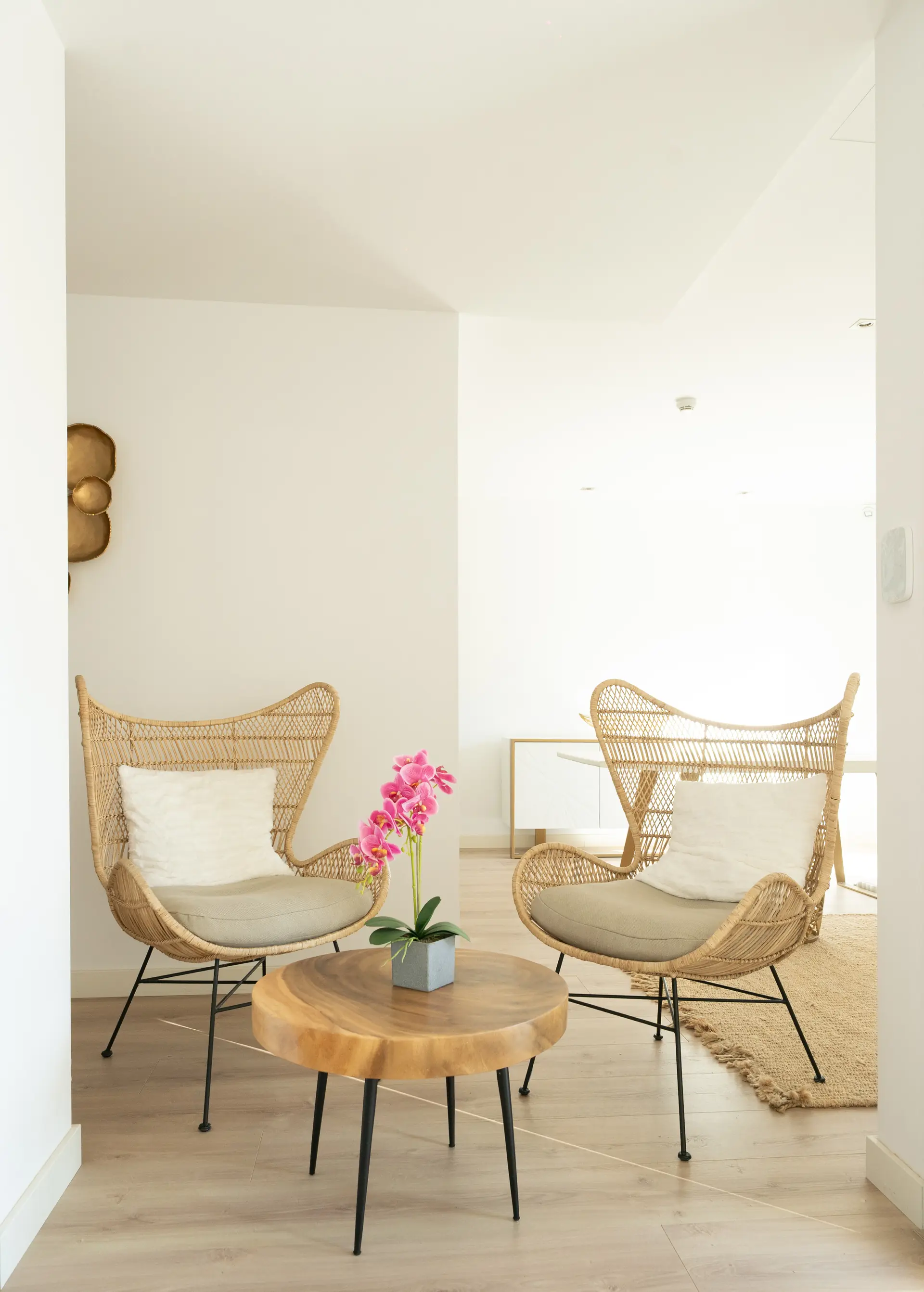 Sala Espera Relax Sillas Mimbre Mariposa